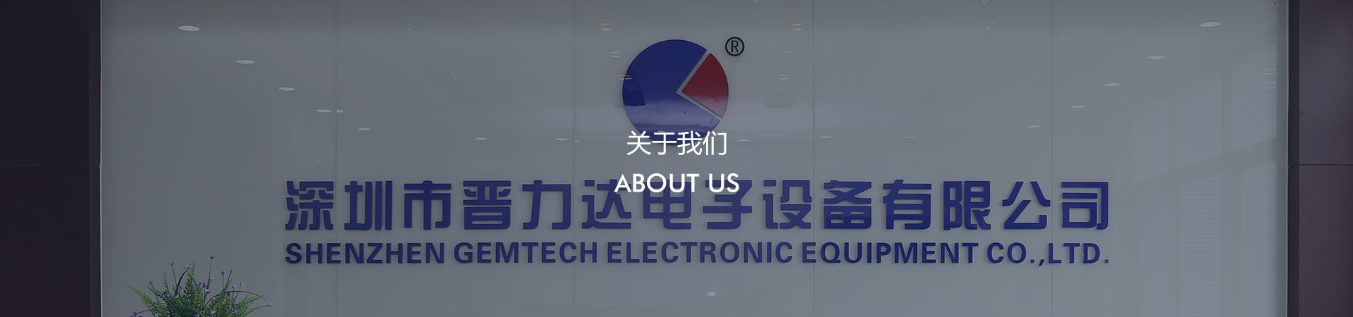 关于红杏首页视频